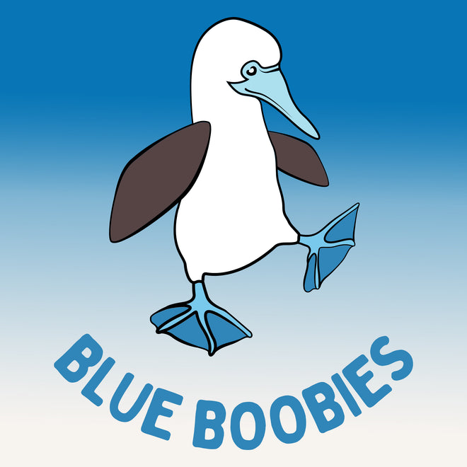 Blue Boobies