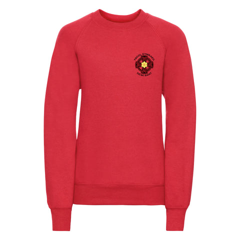 Ysgol Dewi Sant Kids Sweatshirt